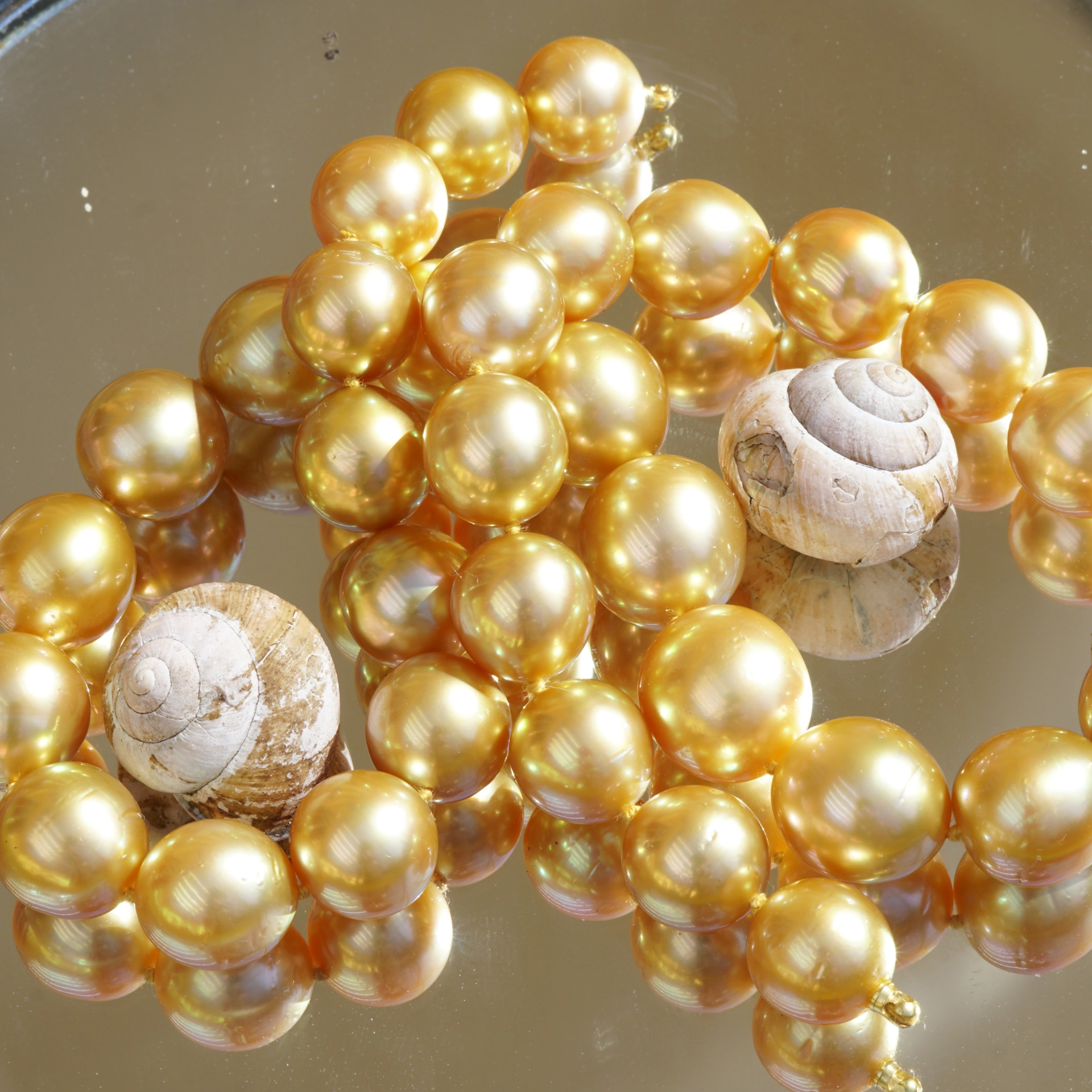 Südsee Zuchtperl Collier GOLDFARBEN 13,1 x 11 mm AAA+ naturfarben