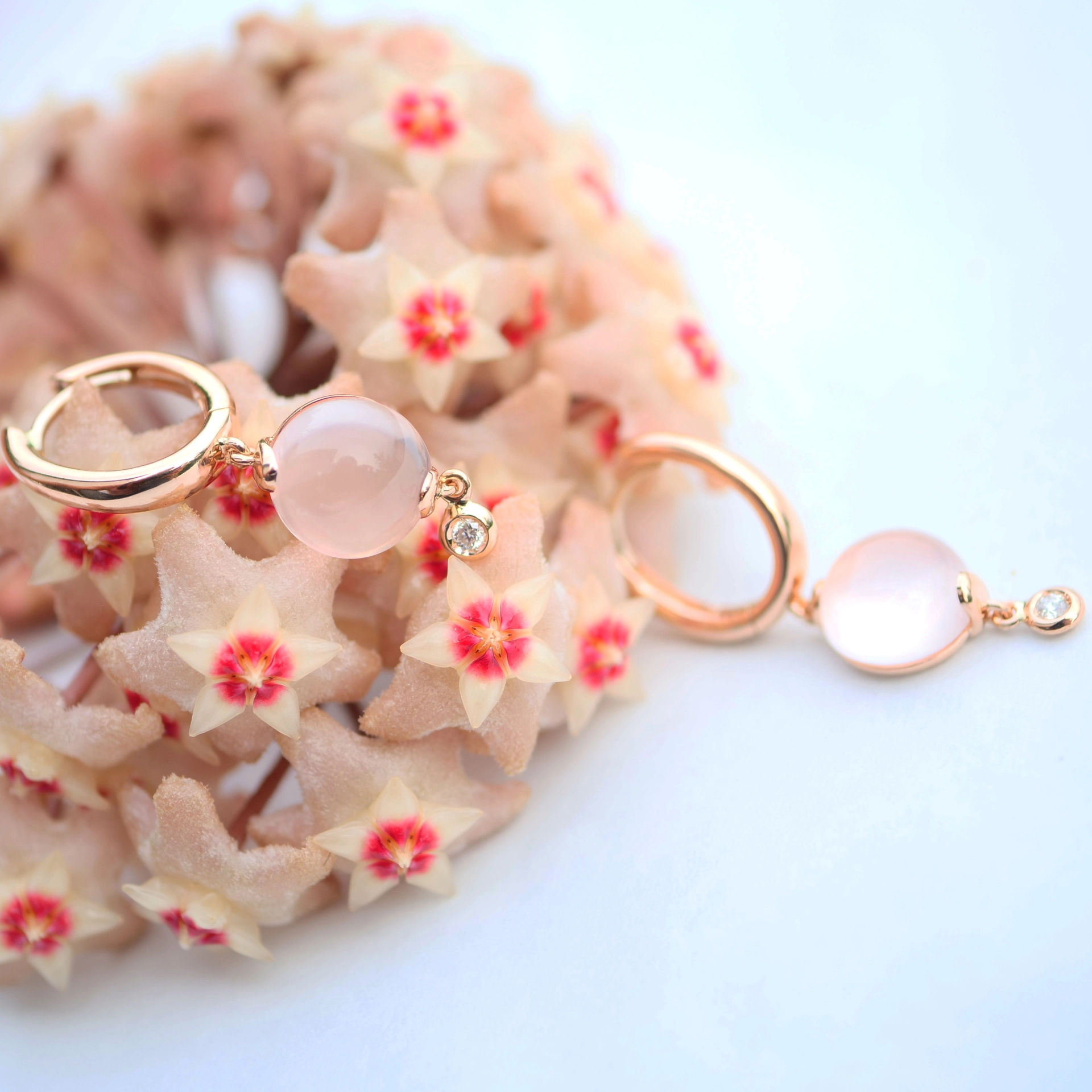 Ohrhänger Rosenquarz Brillant 750er Rosegold..Design aus Bella Italia...verzaubern den Tag