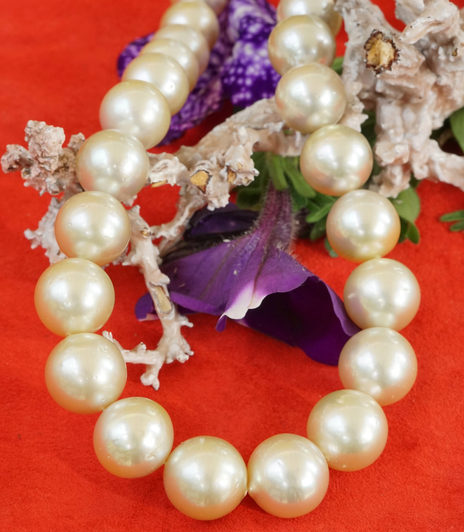 Südsee Zuchtperl Collier 15,1 x 13 mm AAA+ mit Wechselschliesse champagner feiner Lüster