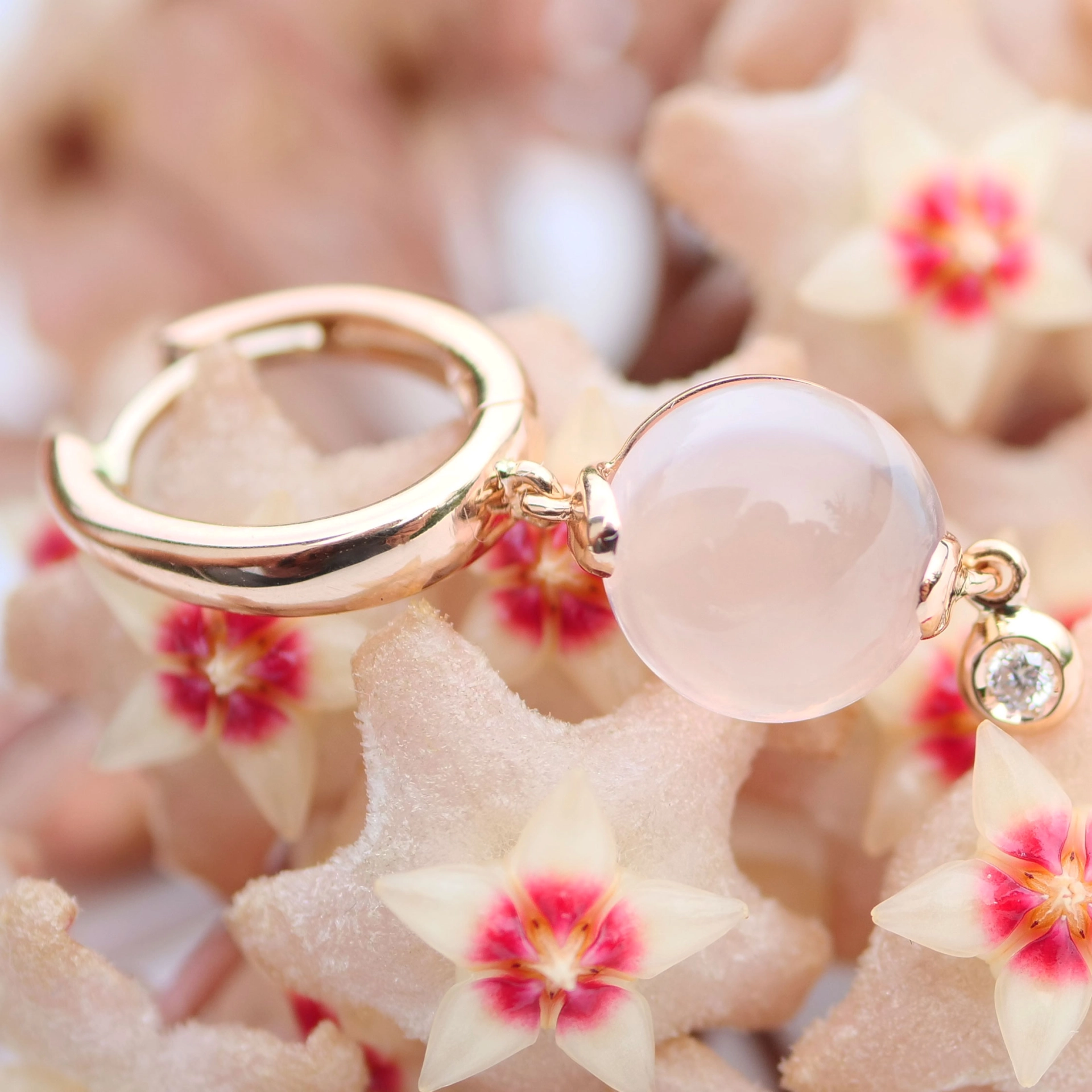 Ohrhänger Rosenquarz Brillant 750er Rosegold..Design aus Bella Italia...verzaubern den Tag