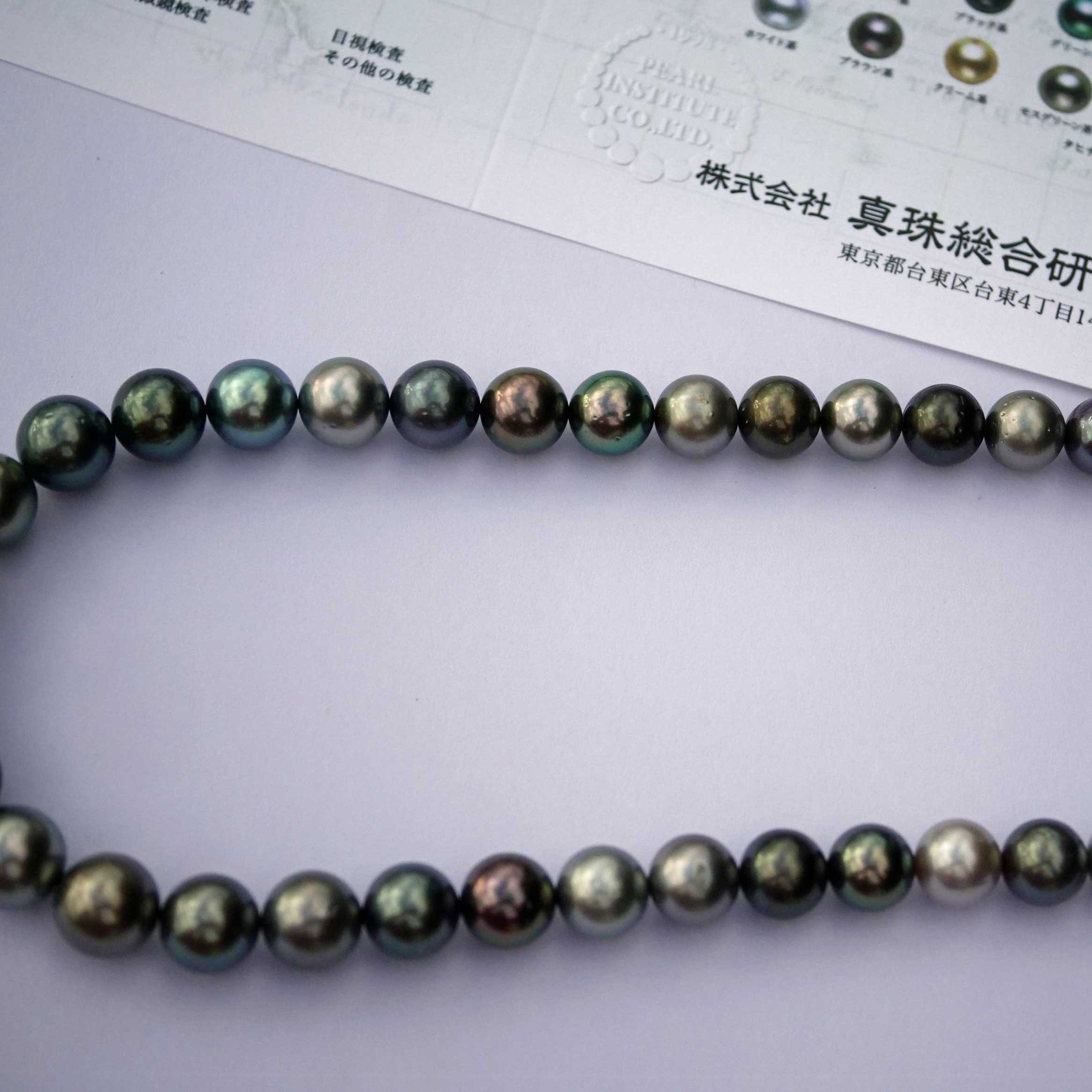 Tahiti Zuchtperl Strang 11-13,5  mm multicolor AAA+-AAA rund sehr starker Lüster mit Expertise 