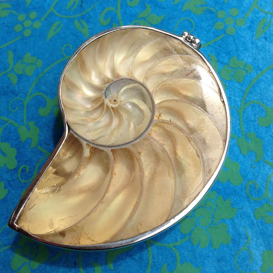 Nautilus-Anhänger, 925er-Silber,Handarbeit,