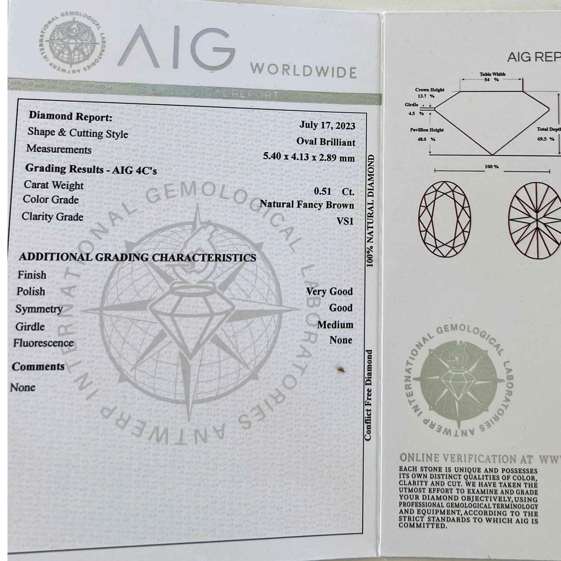 Smaragd Brillant Anhänger / Kette 750er Gelbgold 2.49 ct 0.51 ct IGI Expertise