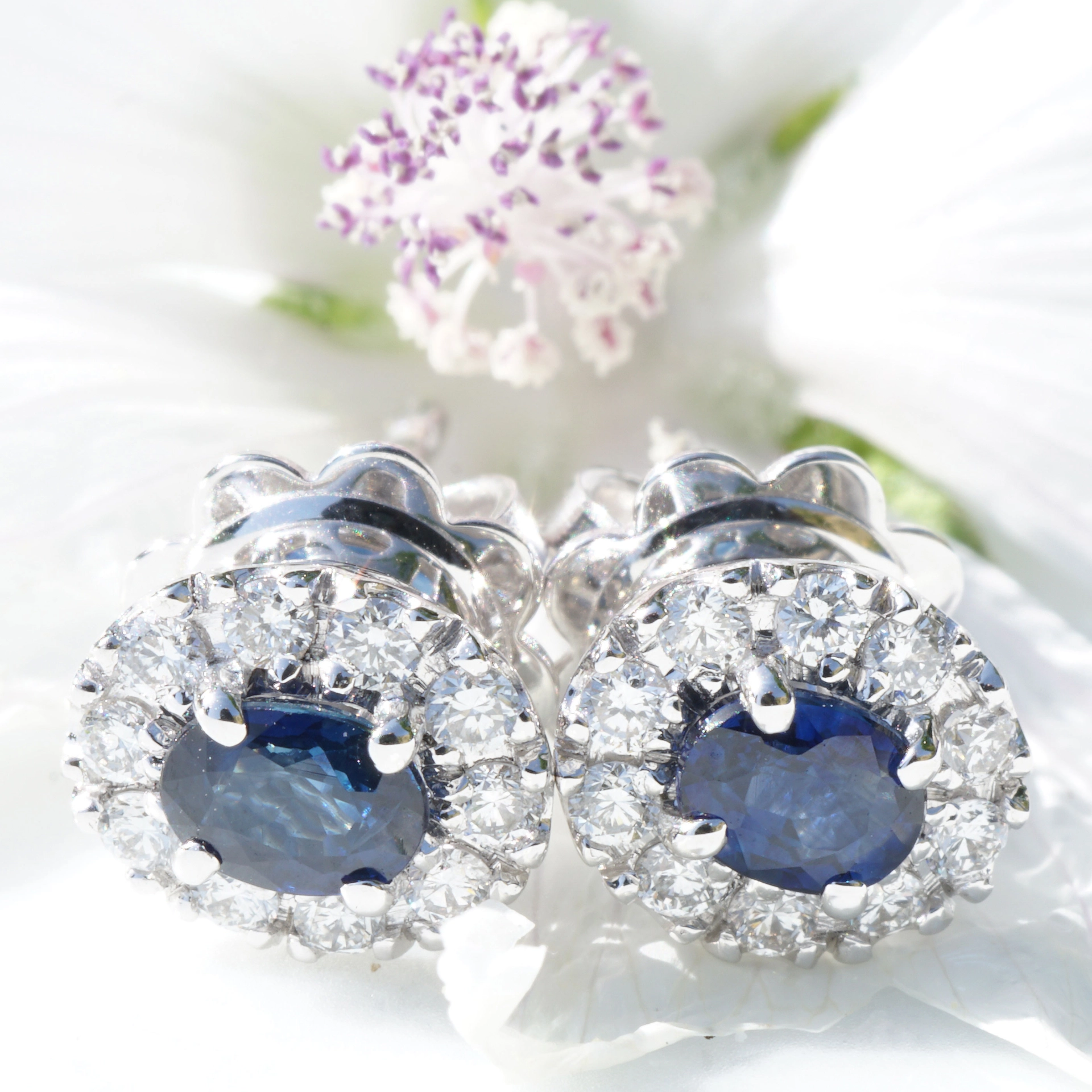 Saphir Brillant Ohrstecker liebevoll angefertigt in Italien 750er Weissgold....Buongiorno