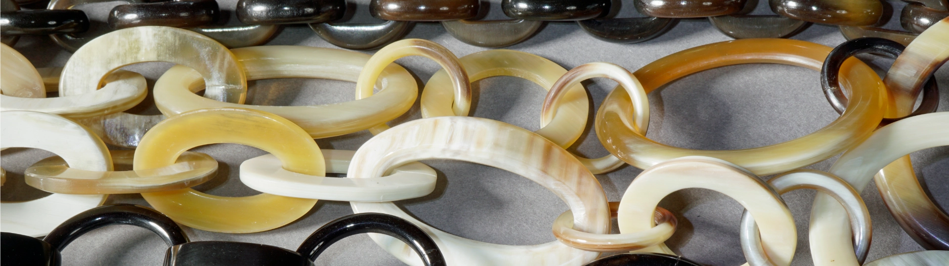 Schmuckzicke-hornschmuck_SON5609