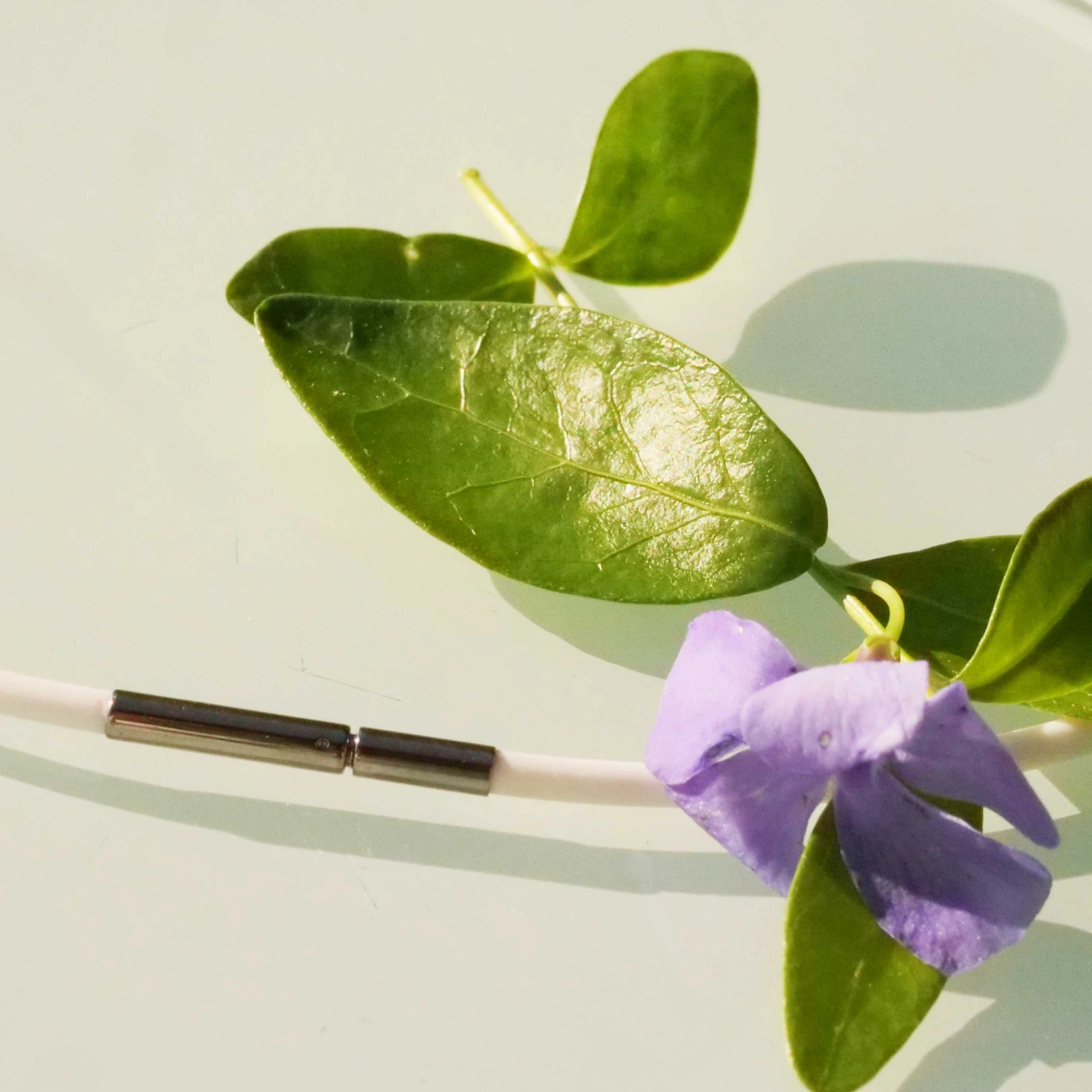 3 mm weisser Polymere Halsreif Silikmed mit Edelstahl Bajonette und Stahlkern... Must-Have-Acces