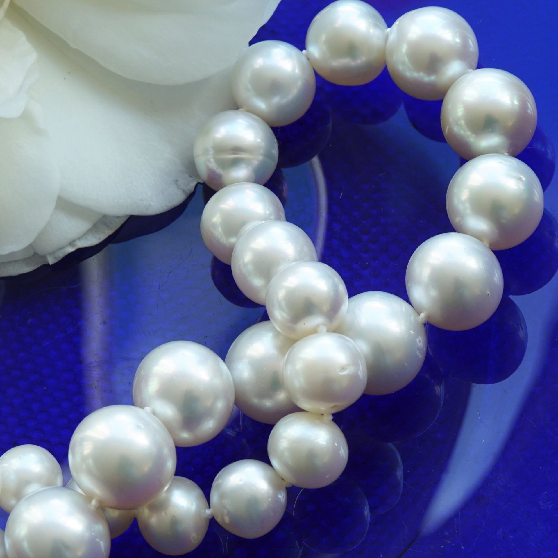 SÜDSEE Zuchtperl Collier weiss-l. creme AAA+ FEINER LÜSTER rund 14,8 - 11 mm Wave