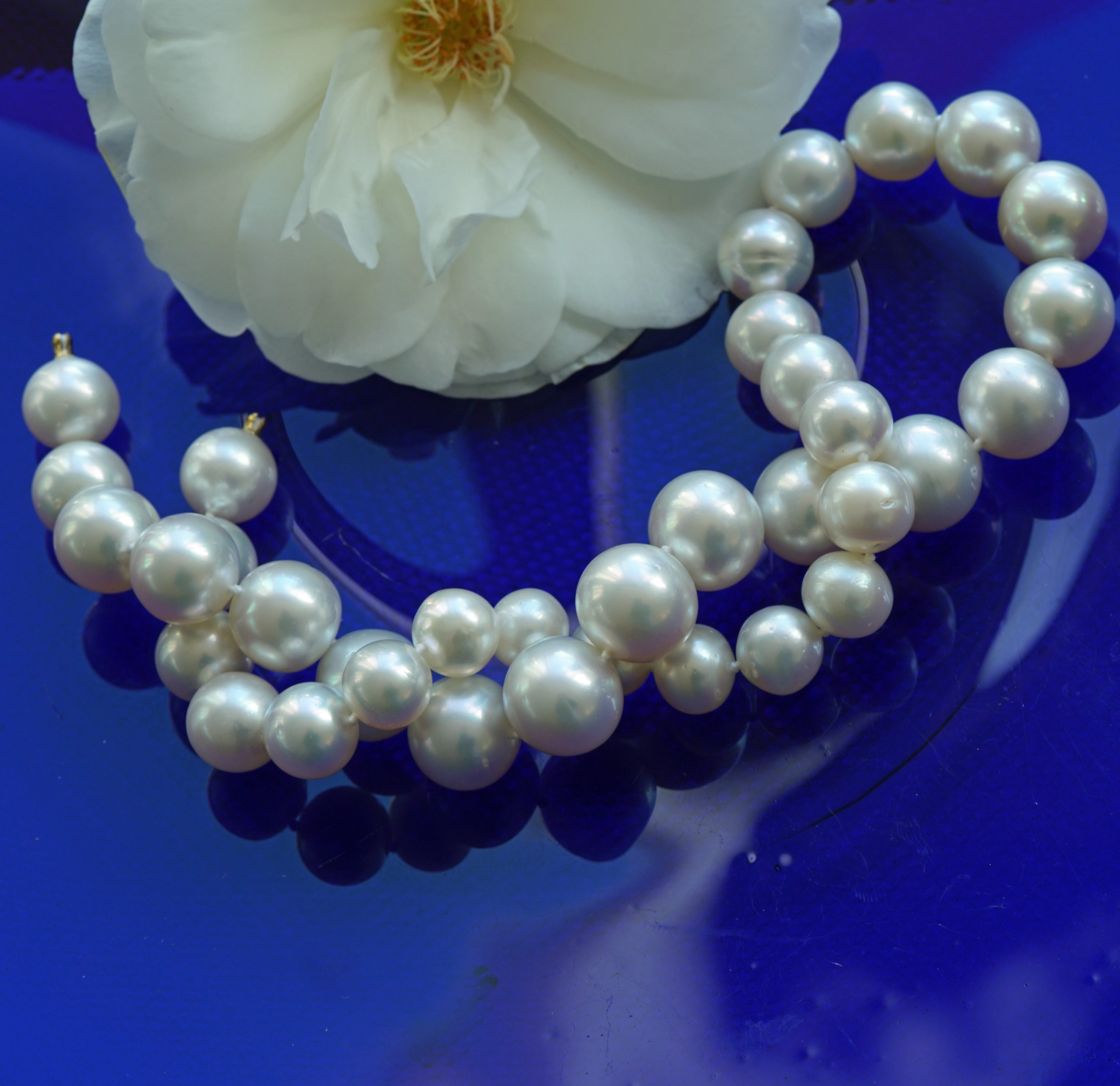 SÜDSEE Zuchtperl Collier weiss-l. creme AAA+ FEINER LÜSTER rund 14,8 - 11 mm Wave