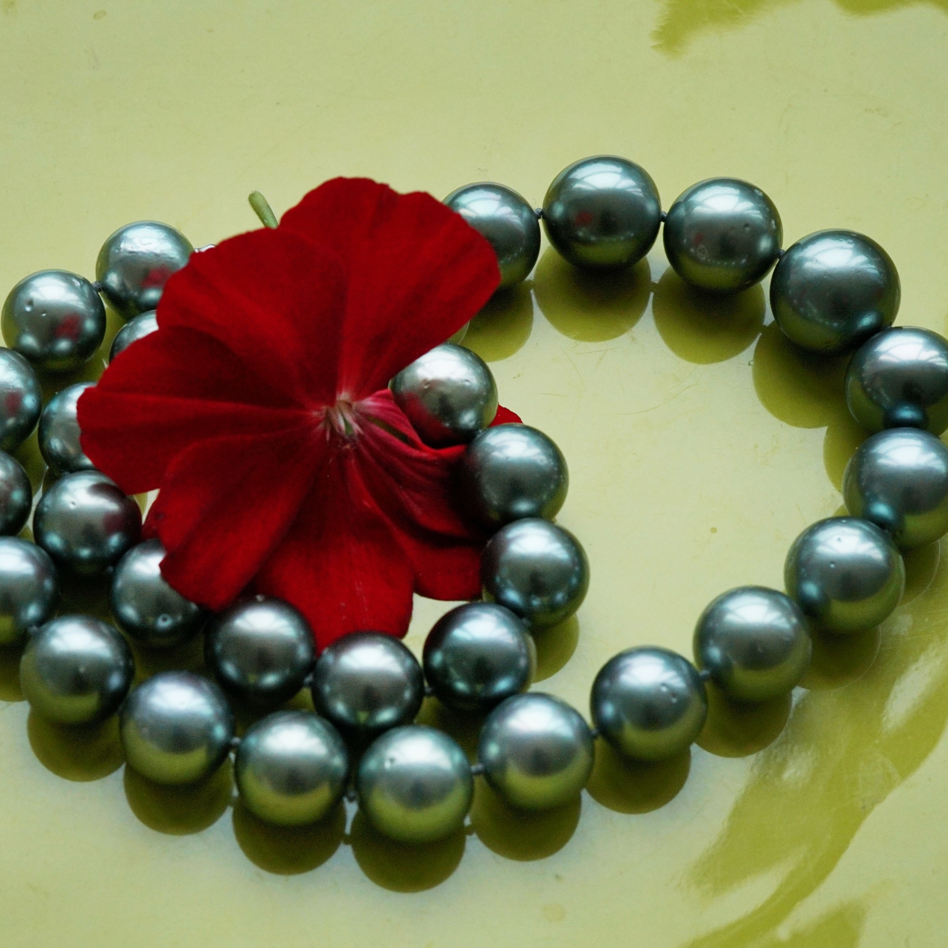 Tahiti Zuchtperl Collier AAA+ Antrazit grandios 16.2 x 13 mm rund 47,5 cm